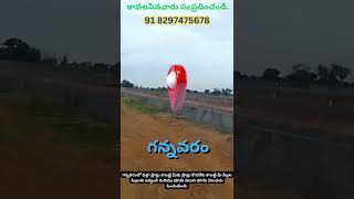 APCRDA Approved Open Plots in Gannavaram for Sale || Gannavaram Real Estate || Call: +91 8297475678