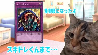 青眼使い決闘者、マスターデュエルに復帰する #猫ミーム #猫マニ