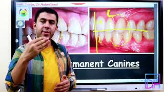 22- التشريح الوصفي للناب العلوي الجزء الأول - Upper Permanent Canine P1