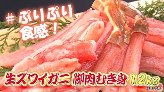 プリプリの食感！生ズワイガニで多彩なアレンジ料理♪ービートップス 生ズワイガニ 脚肉むき身 お徳用１．２ｋｇ