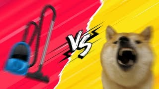 Shibe gets triggered by vacuum cleaner new