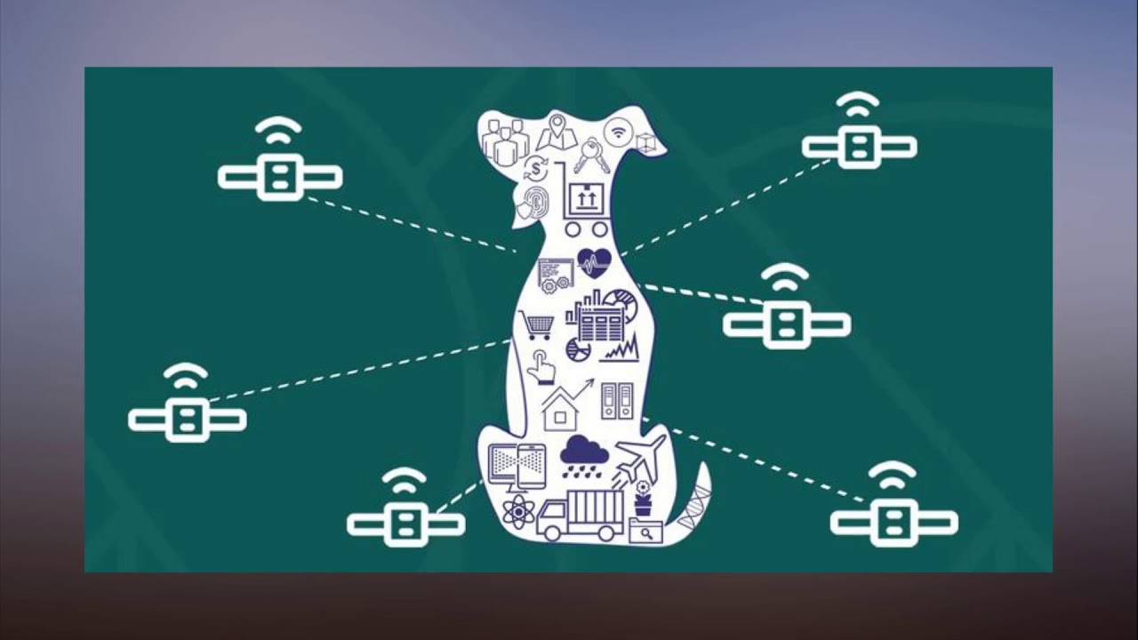 Harperdb An Underdog Sql Nosql Database Youtube Harperdb An Underdog Sql Nosql Database Youtube