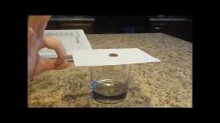 Newton's First Law Experiment
