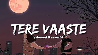 Tere Vaaste - [ Slowed + Lofi ] New Song #lofi