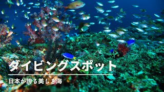 【美しき海】日本が誇るダイビングスポット