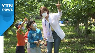 청년농부 성공 비결..'트렌드 맞춘 아이디어' / YTN