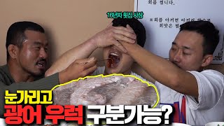 횟집 사장님은 눈가리고 광어 우럭 구분할수 있을까?