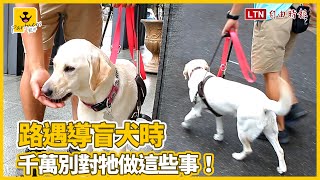 路遇導盲犬時  千萬別對牠做這些事！