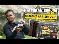 Tonton Ini Sebelum Beli - MENTOR BURUNG - Masteran Burung Yang Lagi VIRAL