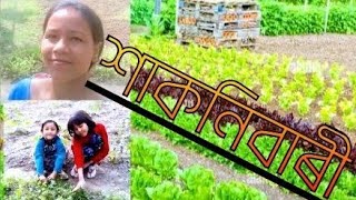 শাক-পাচলি বজাৰত যিহে জুইছাই দাম🫑আহঁক নিজেই কৰোঁ🥬🍅