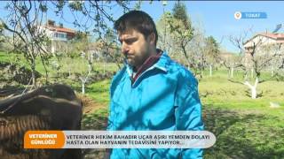 VETERİNER GÜNLÜĞÜ TOKAT 22/04/2016