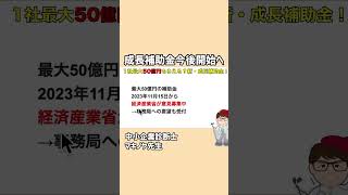 中堅・中小企業の賃上げに向けた省力化等の大規模成長投資補助金