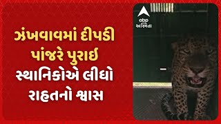 Surat News | માંગરોળના ઝંખવાવ ગામેથી આખરે દીપડી પાંજરે પૂરાતા ગ્રામજનોને હાશકારો