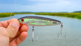 Using LOUD TOPWATER Baits for FEISTY Fish