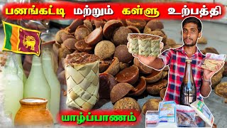 ஒரே இடத்தில் 1 லட்சம் கள்ளு போத்தலா😦 | கருப்பணி \u0026 கள்ளு தயாரிப்பு | Palmyrah Jaggery \u0026 Palm Wine