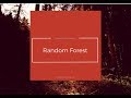 Overview&Implementation on Random Forest Classifier for Diabetes dataset| Python Explanation|
