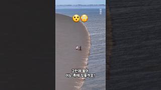 물은 어느 쪽에 있을까요? 🤩