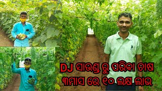 DJ ସାଉଣ୍ଡ ରୁ  ସଫଳ ପରିବା ଚାଷ             ତିନି  ମାସରେ 10 ଲକ୍ଷ  ଲାଭ           ଅନୁଗୋଳର ସୁଶାନ୍ତ  ସାହୁ ।