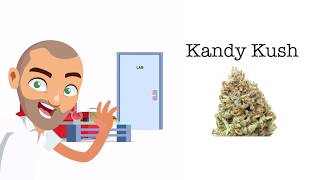 Kandy Kush Strain Review