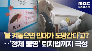 '불 켜놓으면 빈대가 도망간다'고?‥'정체 불명' 퇴치법까지 극성 (2023.11.09/뉴스데스크/MBC)