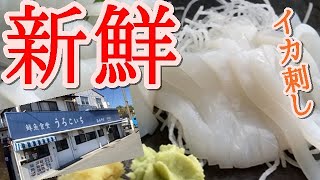 いわき市小名浜 【鮮魚食堂 うろこいち】刺身定食！！新鮮な常磐ものを味わえる絶品食堂！！＃87