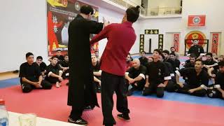 Wing Chun Chi Sao - Grand Master Samuel Kwok and International Degree Instructor Elshan Hajizade