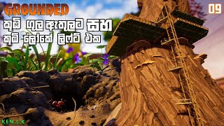 කූඹි ලෝකෙ ලිෆ්ට් එක සහ කූඹි ගුල | GROUNDED | INTO THE WOOD Update | #09