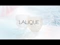 lalique aquatique fall winter collection 2019