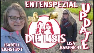 Die Lisis, Entenspezial - das Update 🦆🦆