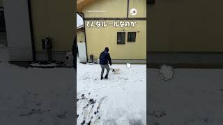 ふたりにしか分からない遊び🐕👨｜PECO