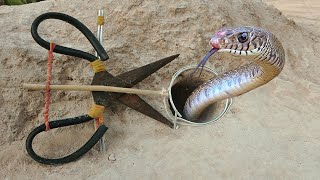 EASY SNAKE TRAP - Best Creative DIY Snake Trap Using Cutter Catch Big Snake in Hole Work100%
