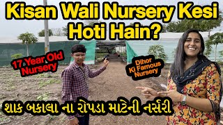 Vlog 443 || Kisan Wali Nursery Kesi Hoti Hain? || શાક બકાલા ના રોપડા માટેની નર્સરી || Dihor Nursery