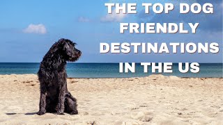 The Top Dog Friendly Destinations in the US