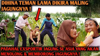 DIHINA & DITUDUH MALING JAGUNG, PADAHAL IA PENYUPLAY JAGUNG SE ASIA ! YANG AKAN MEMBORONG JAGUNGNYA!