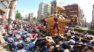 令和元年  　 水道橋　三崎稲荷神社　本社神輿渡御　新天皇陛下御即位　奉納宮神輿渡御。