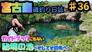 宮古島（下地島）秘境池の行き方！そしてさらにその奥の魅惑の釣りポイントへ！！