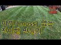 잔디밭에서 자꾸만 자라는 이끼(moss)를 방지할수있는 방법들.