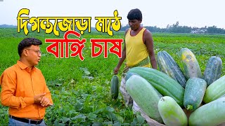 খাদ্যের  জিনিস লস নাই । একই খরচে ২ চাষ । বিশাল সাইজের বাঙ্গি । দিগন্তজোড়া মাঠে বাঙ্গি চাষ