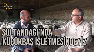 Küçükbaş AİLE İŞLETMESİ (Merak Edilen Sorular) - Çiftçinin Seyir Defteri #sultandağı