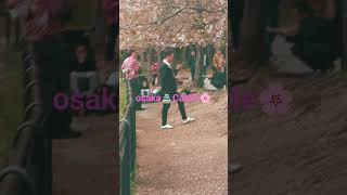 今年の大阪城の🌸桜も終盤ですね🌸4月11日・大阪城🏯公園⛲🌸を歩いて見ました🌸🌸