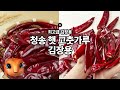 국산 건고추 5종 비교 추천 김장철 필수 아이템 🌶 보통매운맛부터 영양 건고추까지