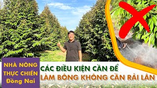 Đây Là Cách Làm Bông Sầu Riêng Không Cần Rải Lân Từ Nhà vườn anh Công Cẩm Mỹ Đồng Nai