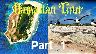 Exploring The Hawaiian Islands | Atolls & Animal Sanctuaries ❀