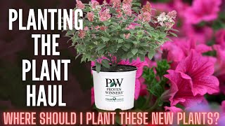 Where Should I Plant These New Plants? 🌷🌷🌷 || Plant Haul 2022 || Supertunias \u0026 Panicle Hydrangeas