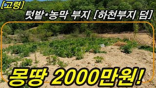 [물건번호-085]고령 덕곡 텃밭#농막터#부담없는가격 #몽땅2000만원#오부TV-오소장010-4584-2100