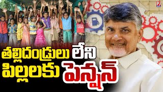 తల్లిదండ్రులు లేని పిల్లలకి సిఎం శుభవార్త..| CM Chandrababu | Toliadugu