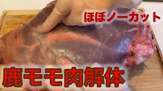 鹿肉の後脚の解体をする動画/鹿肉の部位ごとに分ける作業/精肉