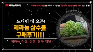 제라늄 삽수몰 구매 후기! 드디어 가을이네요!