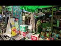 4k hdr discover hidden gems kamala beach walk 4k thailand walking tour phuket 2024💦