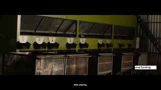 How to Start a Cashew Nut Processing Plant – The Ultimate Business Blueprint